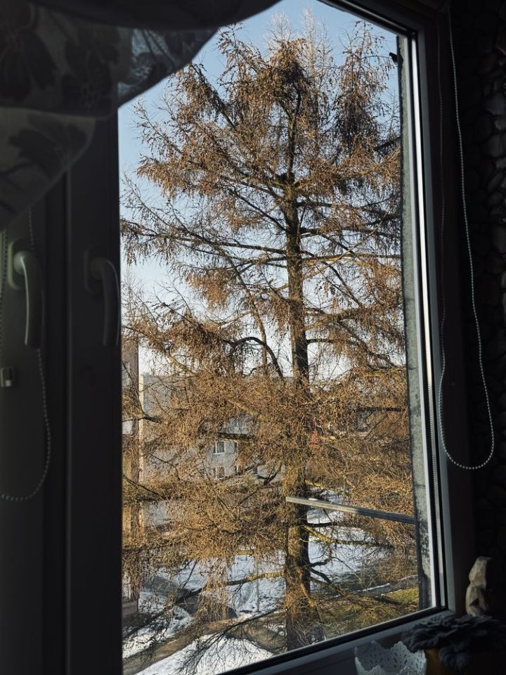 Mieszkanie 1-pokojowe Poręba. Zdjęcie 4