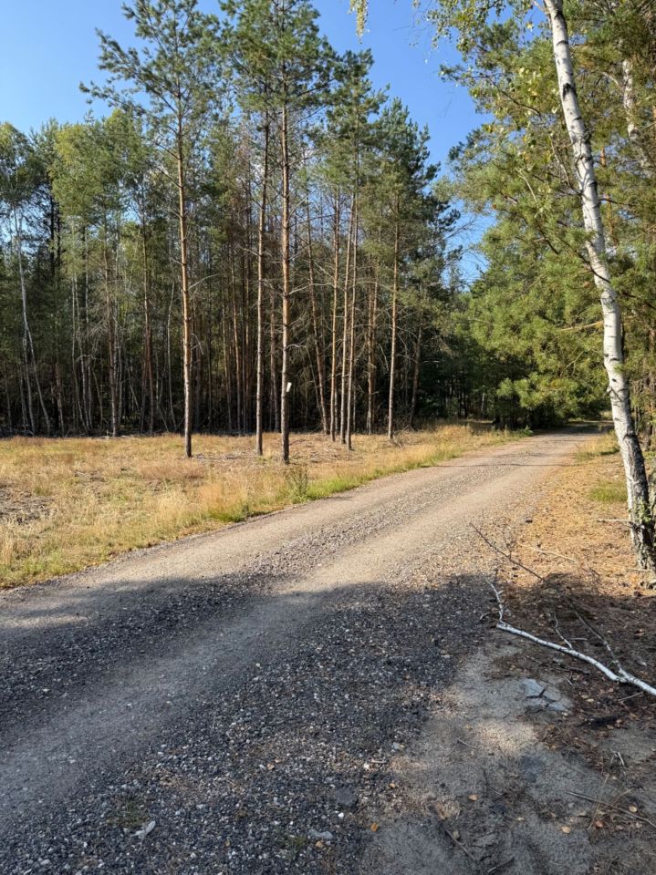 Działka budowlana Ruda-Czernik. Zdjęcie 7