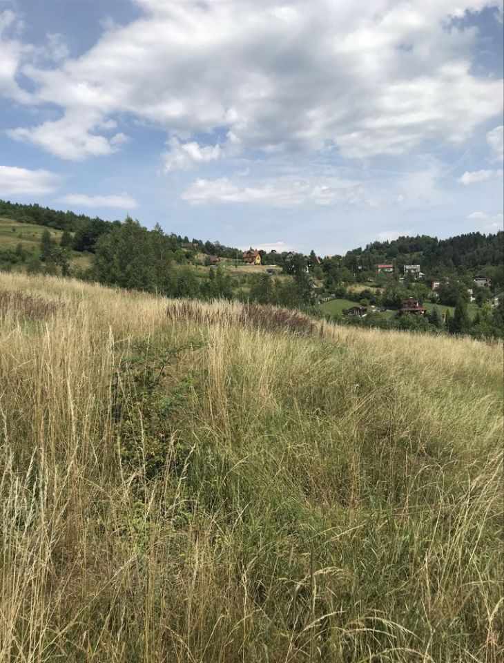 Działka budowlana Mutne. Zdjęcie 5