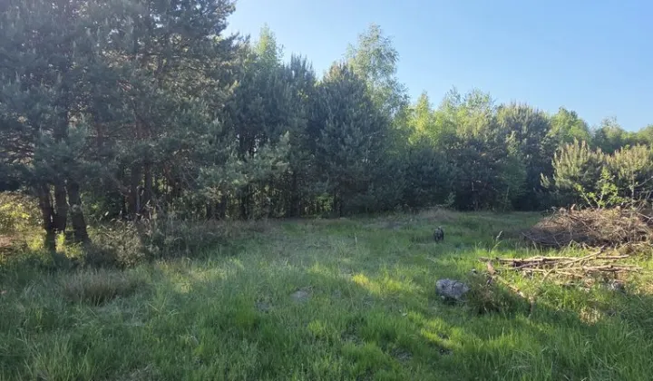 Działka budowlana Ciekoty