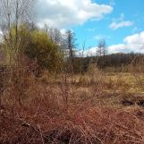 Działka rekreacyjna Głuchów. Zdjęcie 1