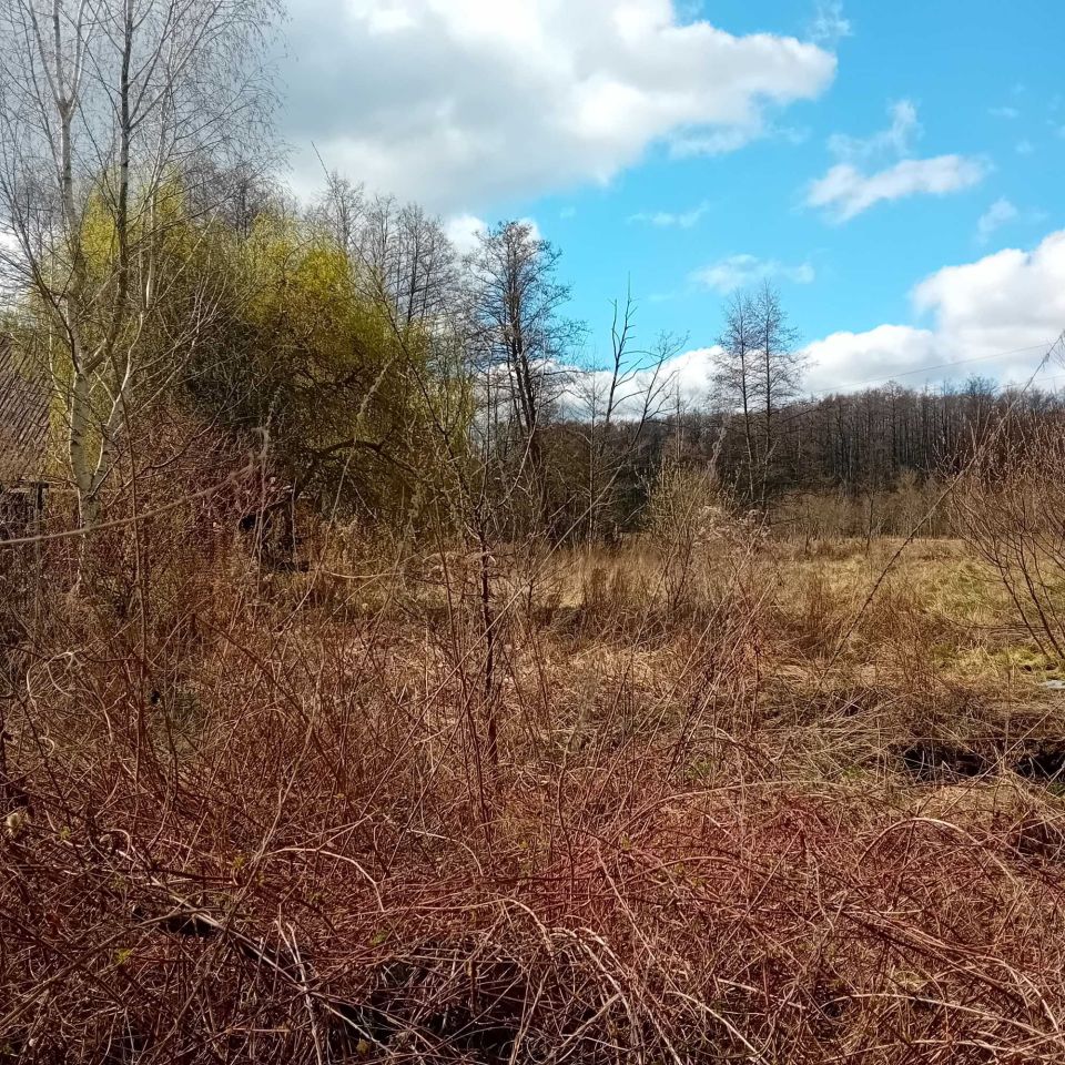 Działka rekreacyjna Głuchów. Zdjęcie 2