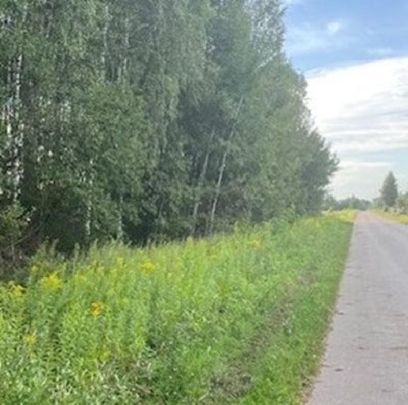 Działka siedliskowa Adampol