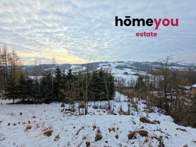 dom wolnostojący, 4 pokoje Zborowice. Zdjęcie 10