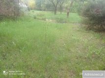 Działka rod Łódź, ul. Żeńców. Zdjęcie 3