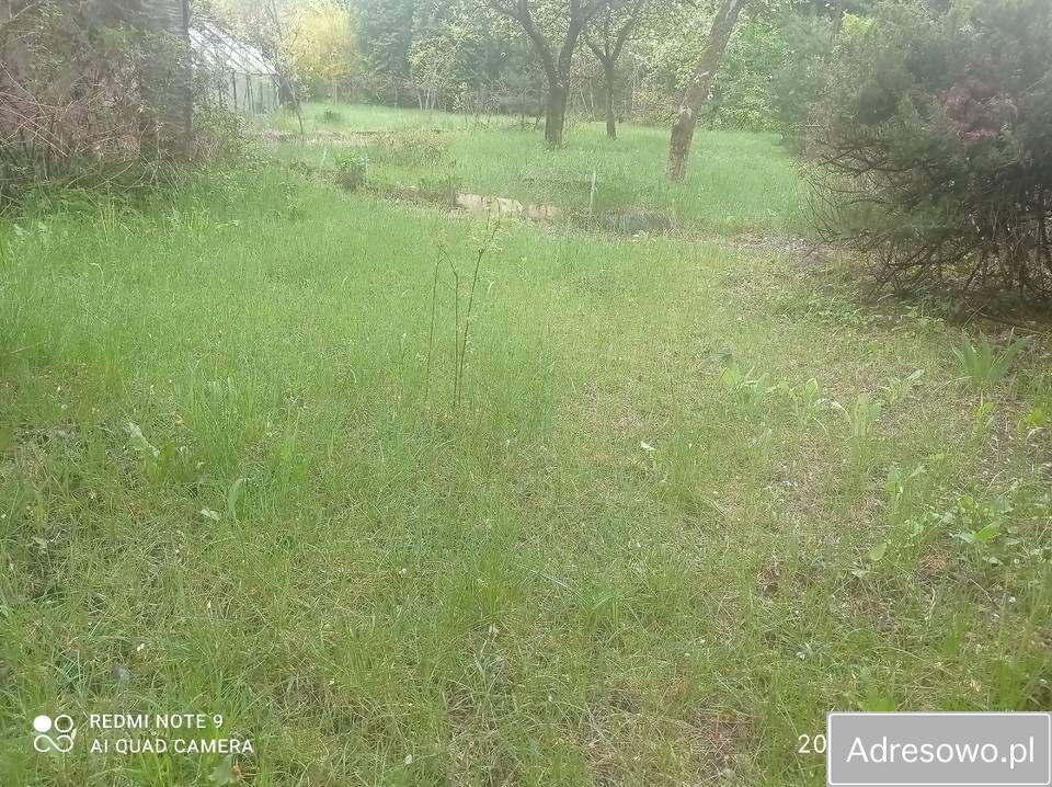 Działka rod Łódź, ul. Żeńców. Zdjęcie 4