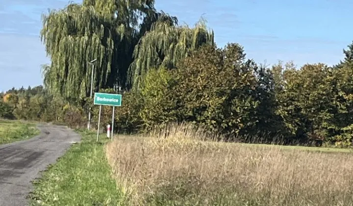 Działka siedliskowa Budy Dłutowskie