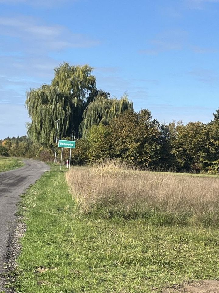 Działka siedliskowa Budy Dłutowskie. Zdjęcie 1