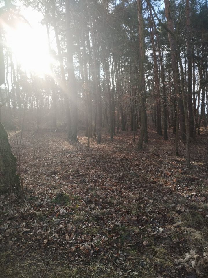 Działka inna Góra Bałdrzychowska-Kolonia. Zdjęcie 5