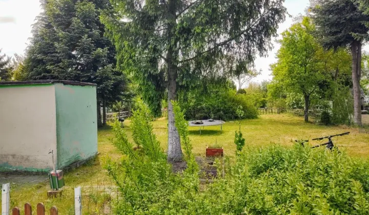 Działka rod Żary, ul. Serbska