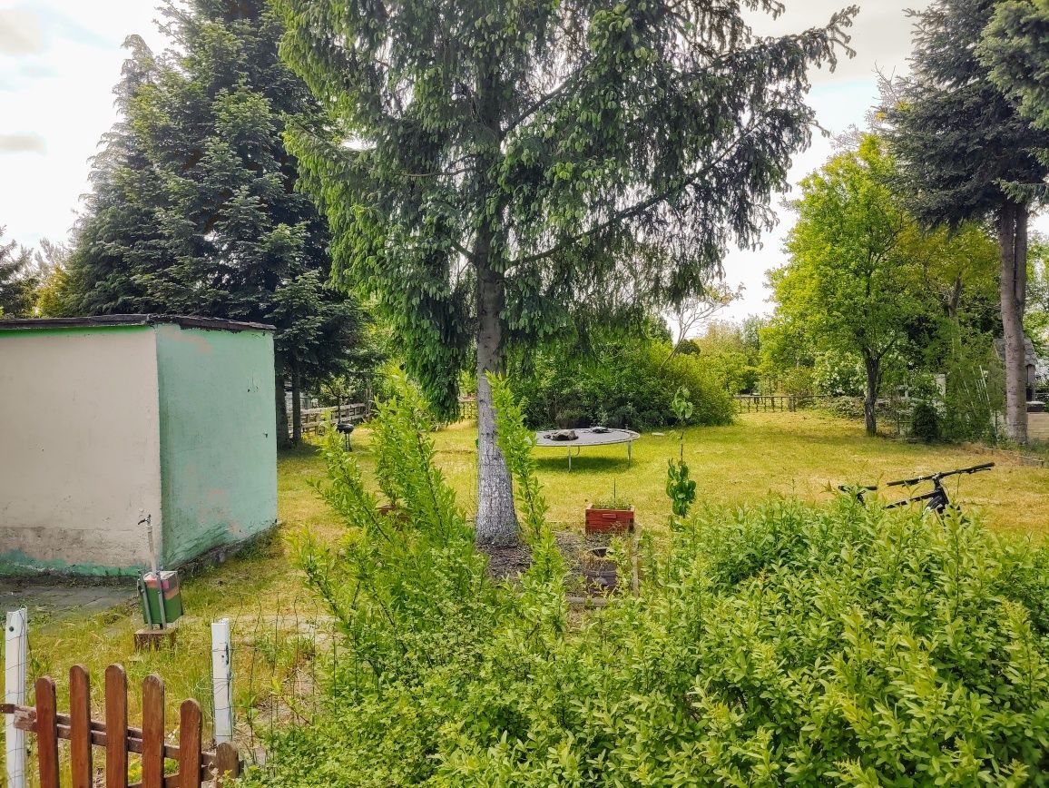 Działka rod Żary, ul. Serbska