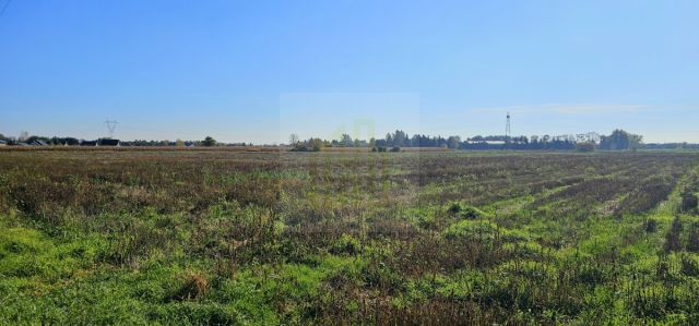 Działka budowlana Bieniewice, ul. Słowicza. Zdjęcie 9