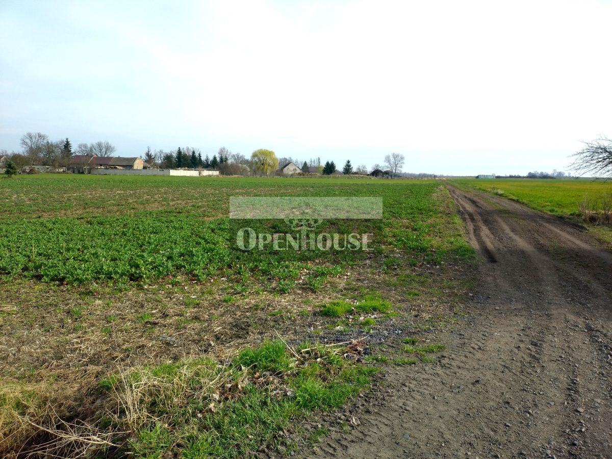 Działka budowlana Górczyna. Zdjęcie 2