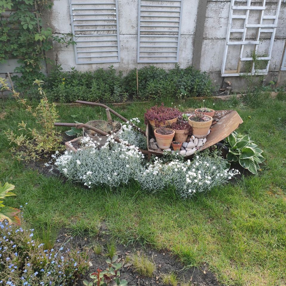 Działka rod Wrocław Krzyki, ul. Powstańców Śląskich. Zdjęcie 7