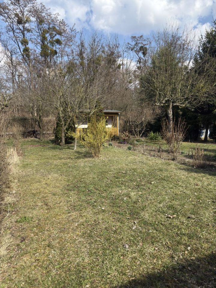 Działka rod Wrocław Krzyki, ul. Koszycka. Zdjęcie 5