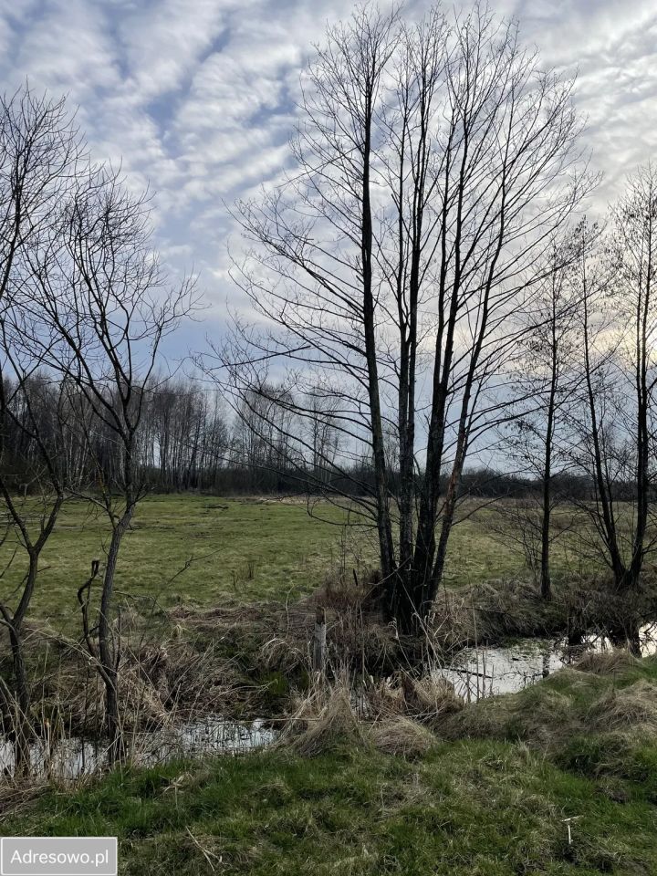 Działka rekreacyjna Krzczeń. Zdjęcie 2