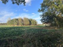 Działka rolno-budowlana Imiołki. Zdjęcie 1