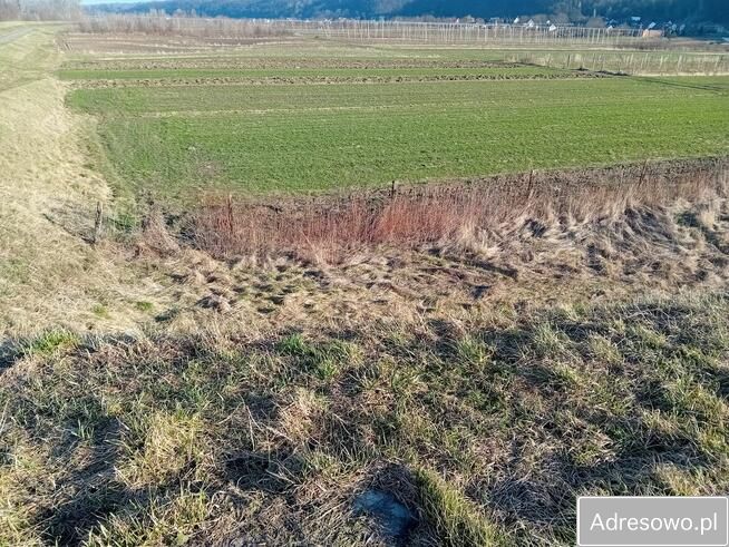 Działka rolna Parchatka. Zdjęcie 2