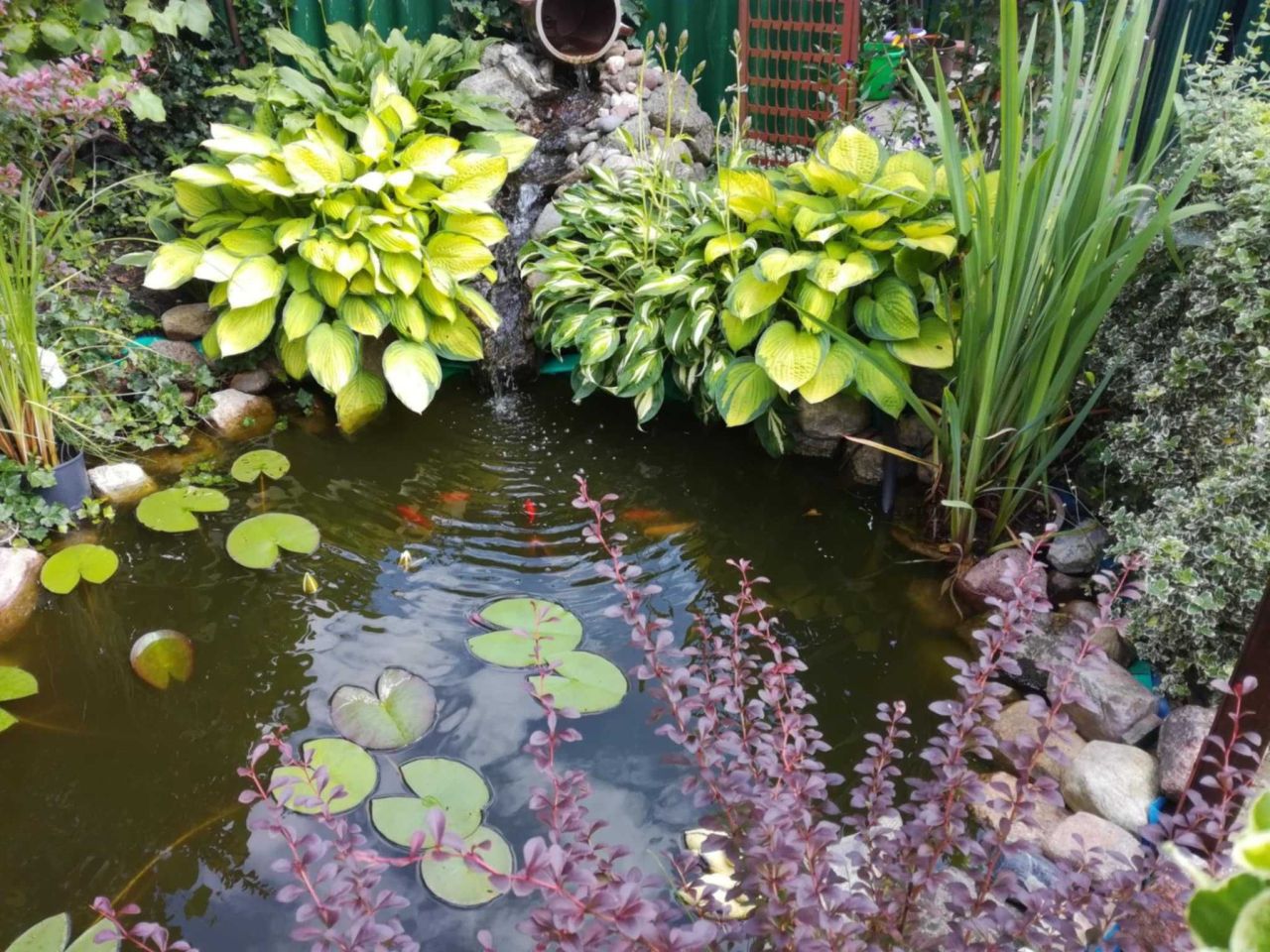 Działka rod Nowy Tomyśl. Zdjęcie 4