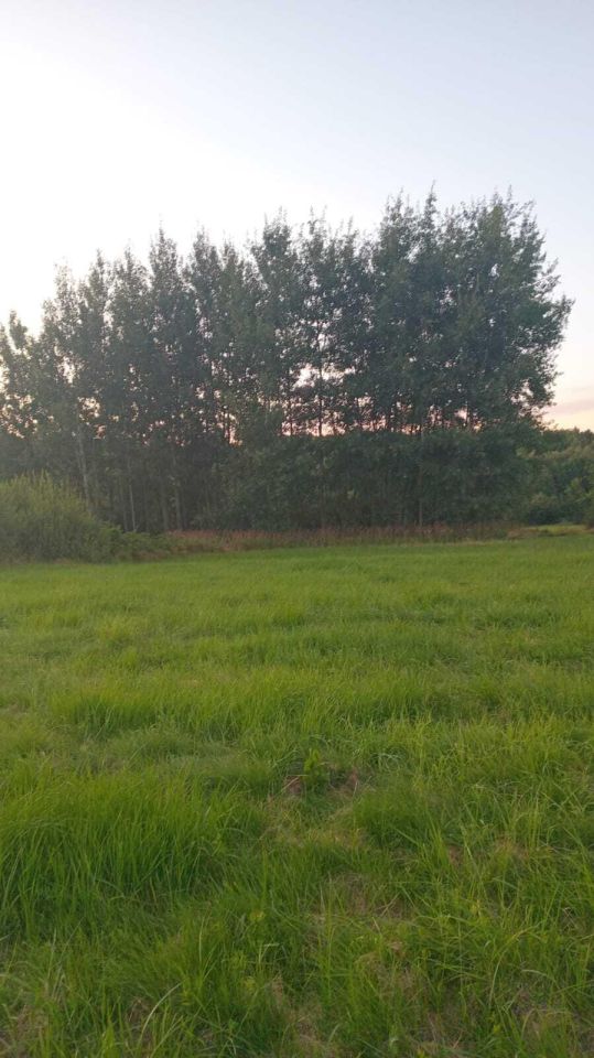 Działka budowlana Giebułtów Augustów. Zdjęcie 3