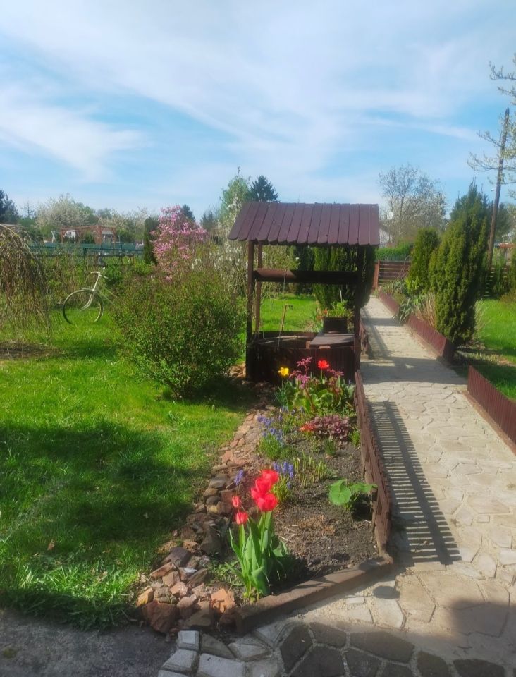 Działka rod Zabrze Biskupice. Zdjęcie 5