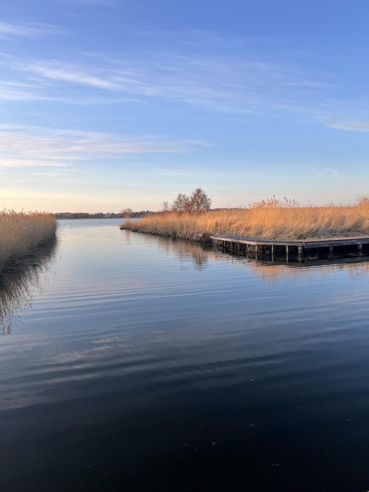 Działka budowlana Dobiesławiec. Zdjęcie 5