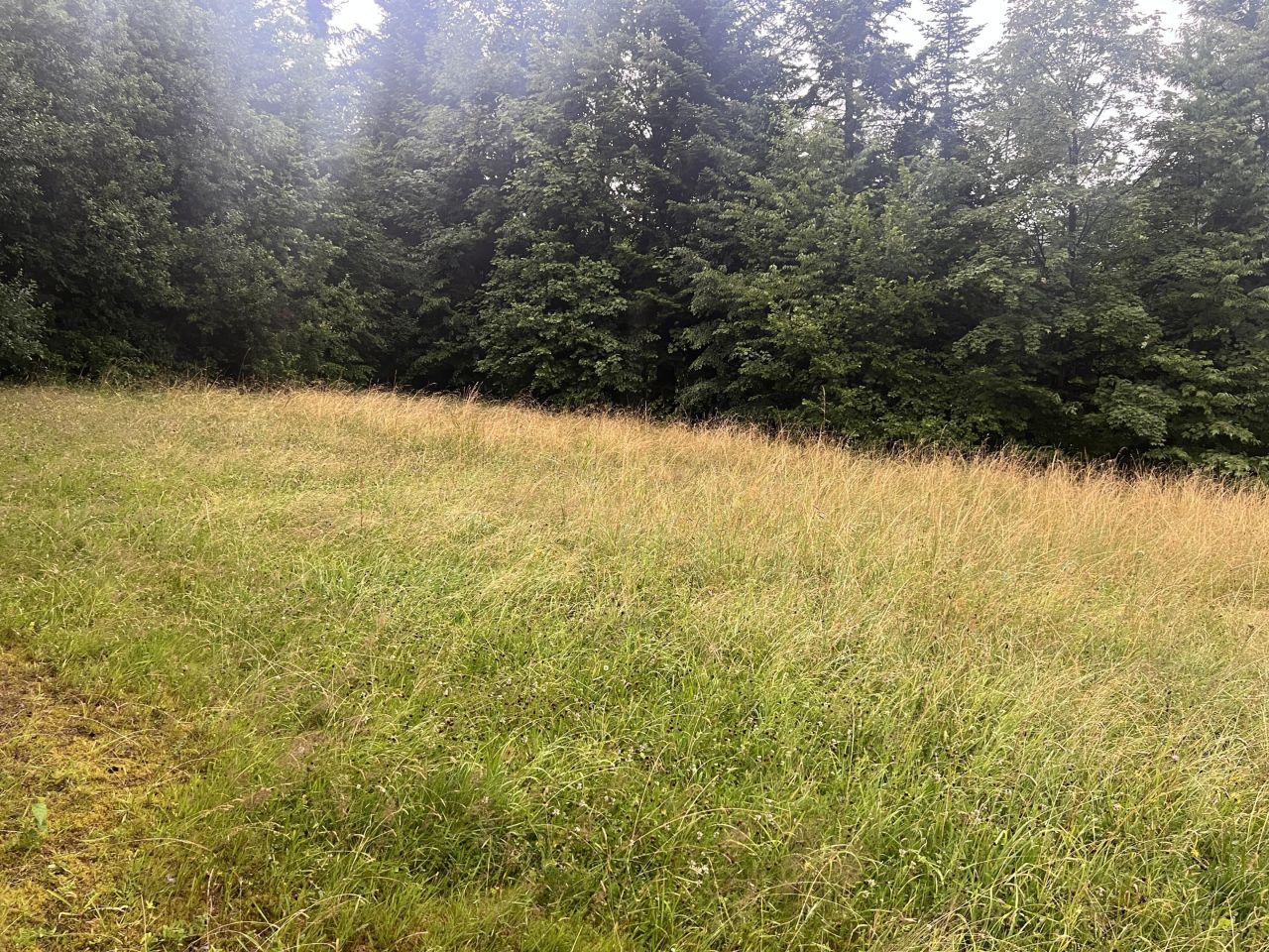 Działka rolna Męcina Zagórze. Zdjęcie 4
