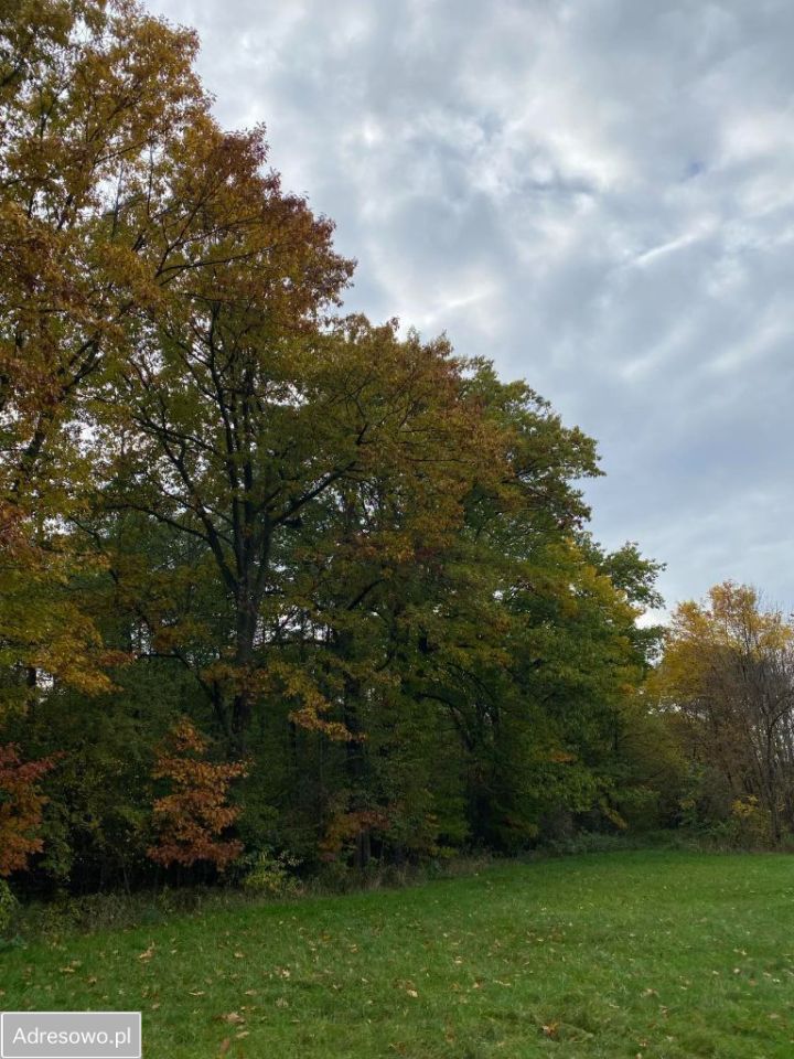 Działka budowlana Tarnów. Zdjęcie 3