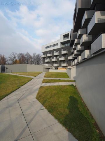 Mieszkanie 2-pokojowe Katowice Dąb, ul. Złota. Zdjęcie 12