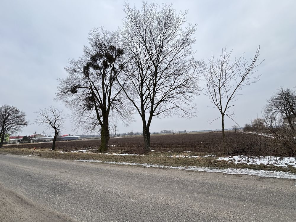 Działka budowlana Ostrowo Kościelne. Zdjęcie 1