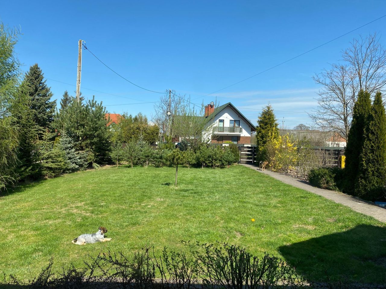 dom wolnostojący, 6 pokoi Policzna, ul. Osiedlowa. Zdjęcie 6