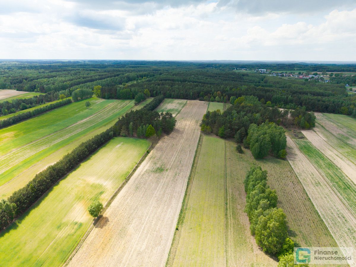 Działka inwestycyjna Księża Wola. Zdjęcie 3