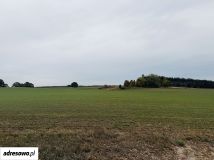Działka budowlana Nowe Skoszewy. Zdjęcie 2