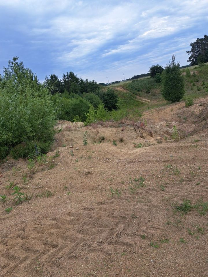 Działka inwestycyjna Dźwierznia. Zdjęcie 2