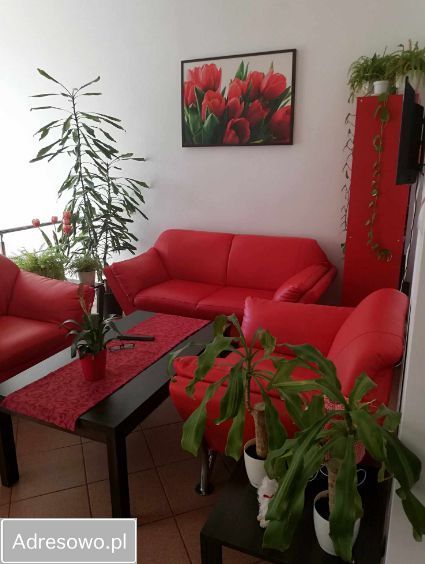 Lokal Szynwałd. Zdjęcie 10