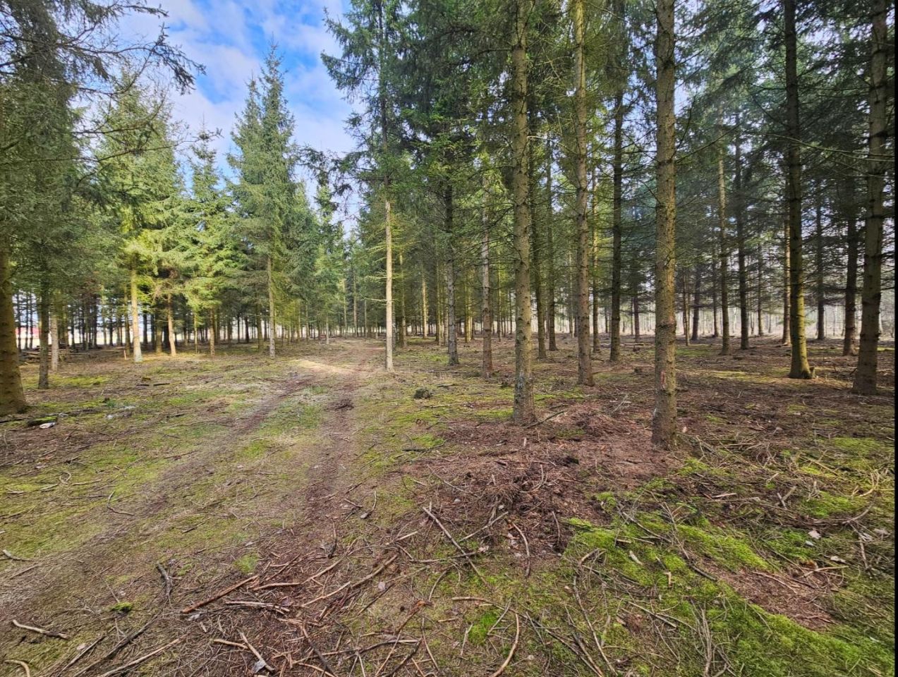 Działka budowlana Studnie. Zdjęcie 4