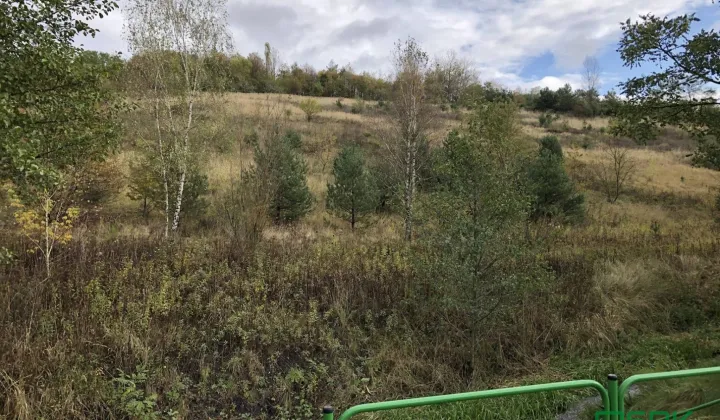 Działka Jankowice, ul. Świerklańska