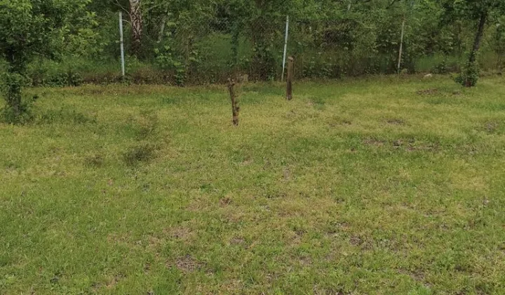 Działka budowlana Leszno, ul. Gajowa