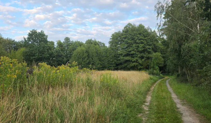 Działka budowlana Podole