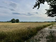 Działka budowlana Mielenko. Zdjęcie 3