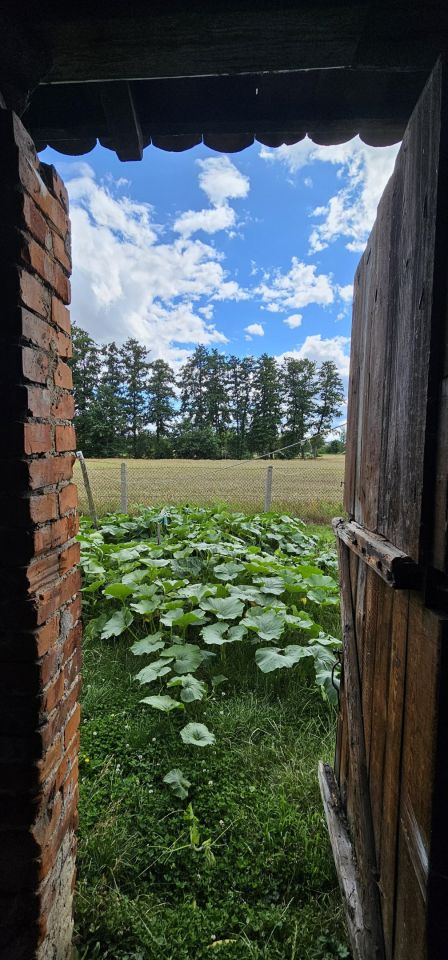 gospodarstwo, 4 pokoje Pogórze Pogórze. Zdjęcie 7
