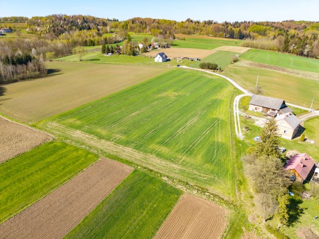 Działka budowlana Grodzisko. Zdjęcie 9