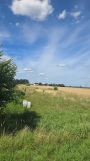 Działka rolno-budowlana Nieborów. Zdjęcie 3