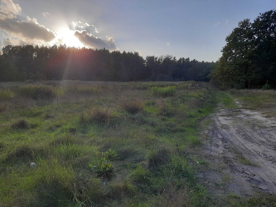 Działka rolna Roztoka
