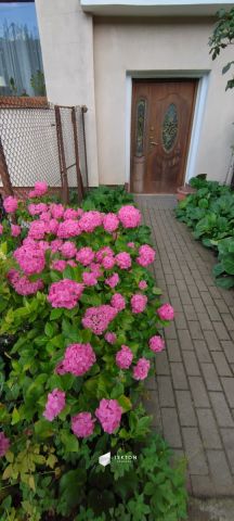 budynek wielorodzinny, 20 pokoi Gdynia Orłowo, ul. Jesionowa. Zdjęcie 21