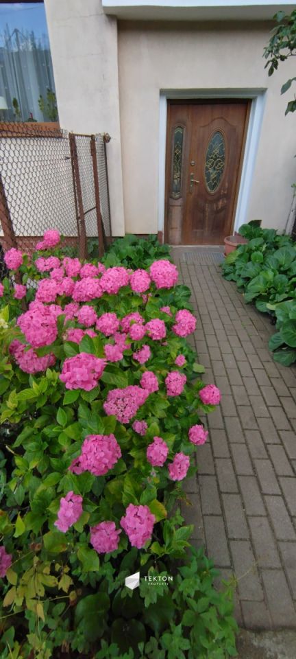 budynek wielorodzinny, 20 pokoi Gdynia Orłowo, ul. Jesionowa. Zdjęcie 21