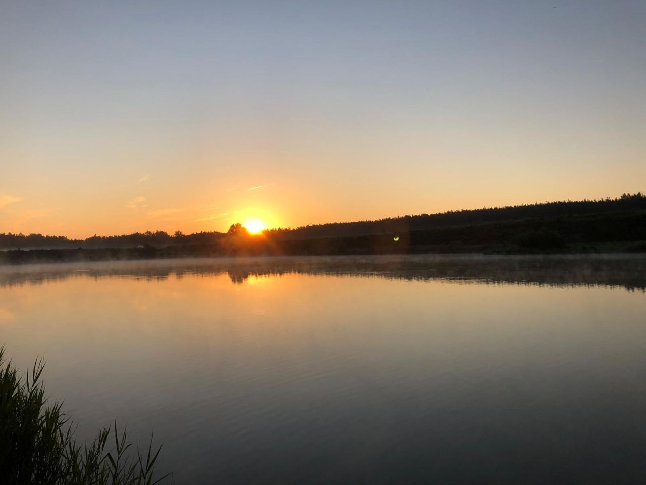 Działka rekreacyjna Polanowice Brzózki, Aleja Dębowa. Zdjęcie 4