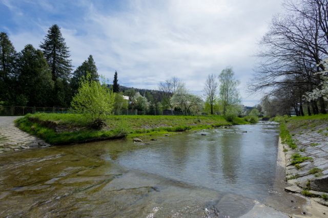 dom, 13 pokoi Rymanów-Zdrój. Zdjęcie 25