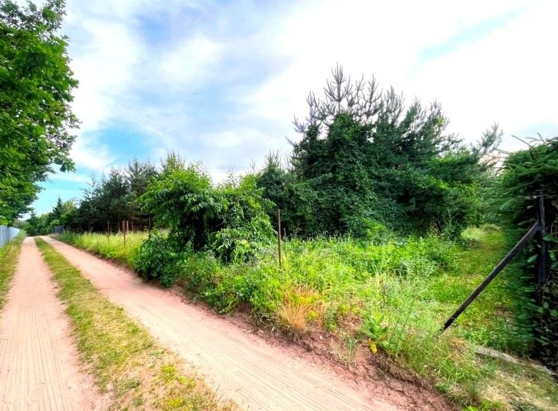 Działka budowlana Dąb Polski, Goździkowa. Zdjęcie 2