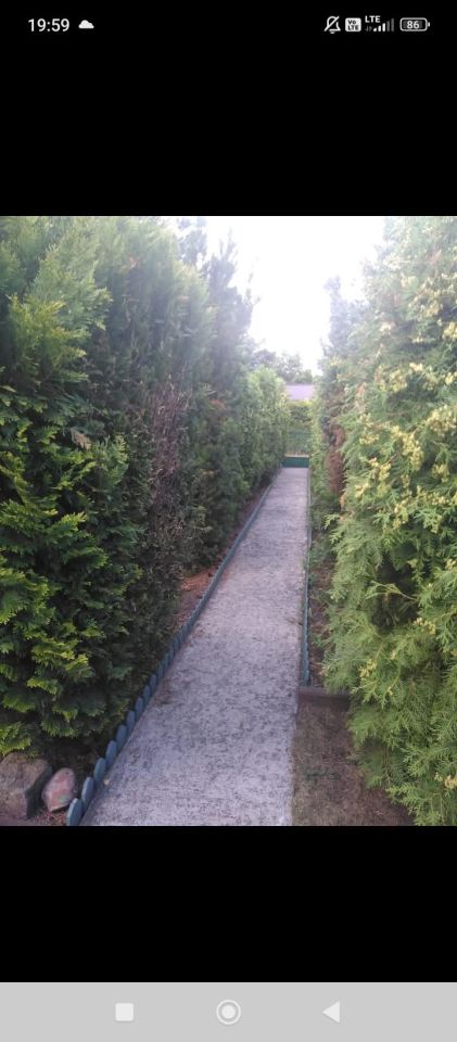 Działka rod Walendów, ul. Ogrody Walendów. Zdjęcie 4